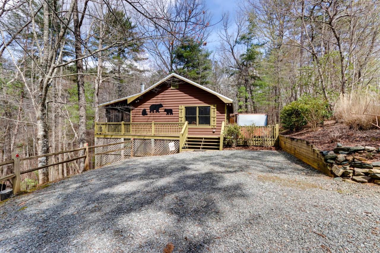 Blue Ridge Cozy Cabin In The Woods With Hot Tub! Exterior photo